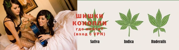 мет Белокуриха