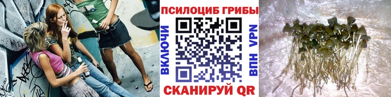 Псилоцибиновые грибы мицелий  где купить   Рудня 